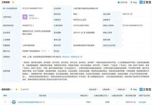萬達在上海成立數字科技公司，布局互聯網銷售與數據服務賽道